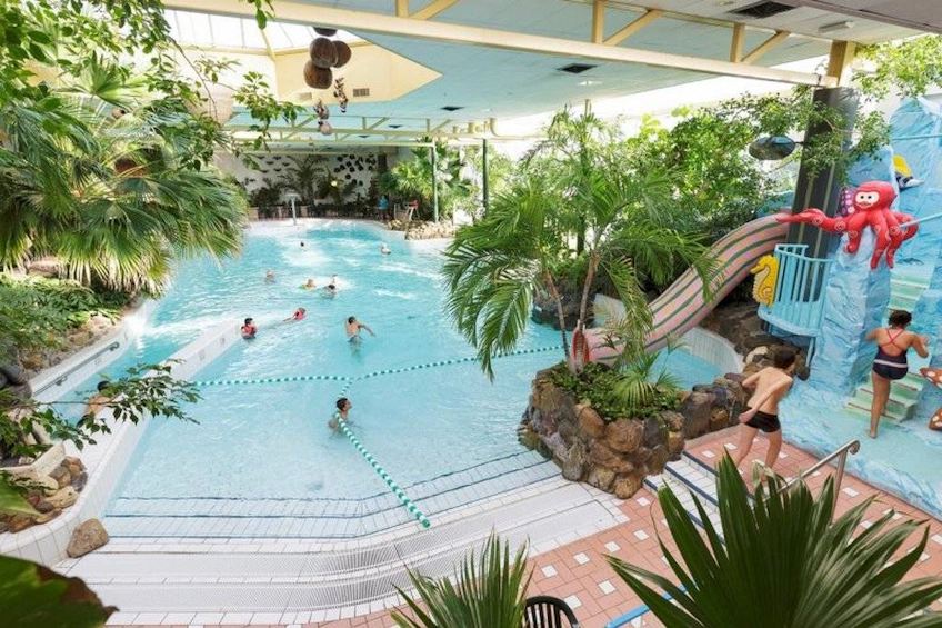 Indoor swimming pool with water slide and lush greenery at the Limburgse Peel complex